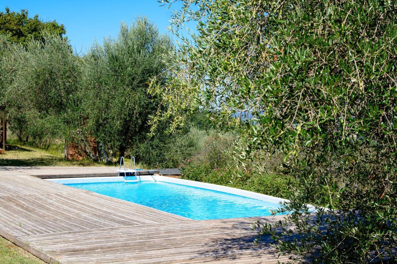 Agriturismo La Pieve Pelago Exterior foto