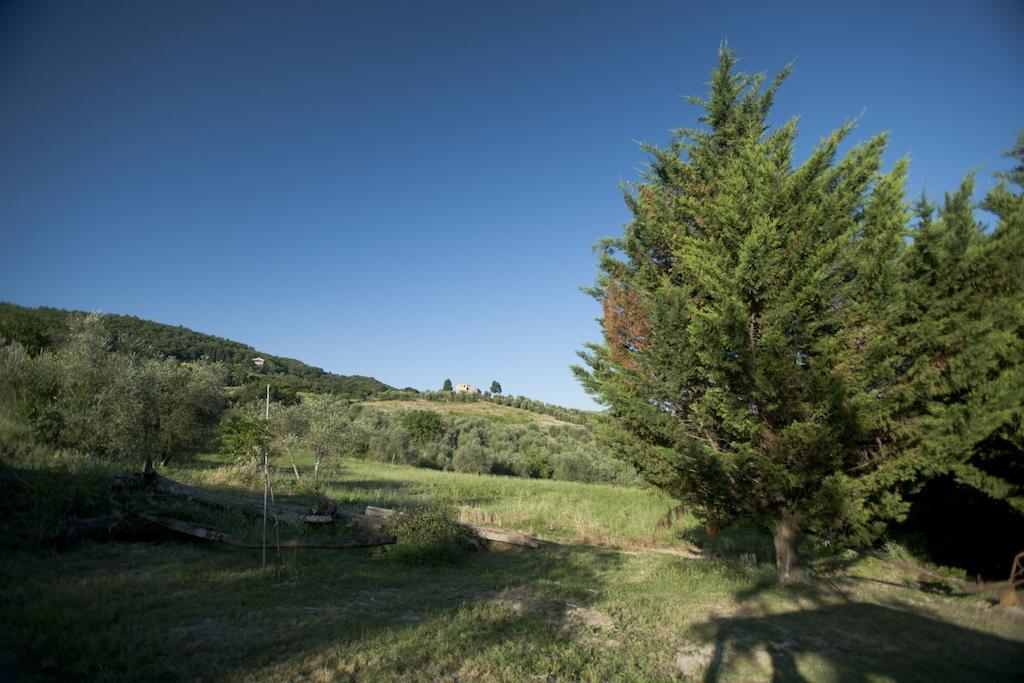 Agriturismo La Pieve Pelago Exterior foto